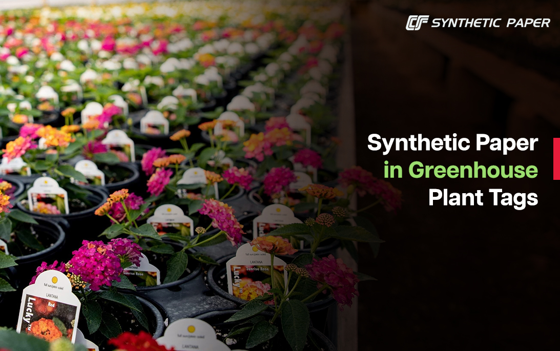 Papel sintético en etiquetas de plantas de invernadero: identificación duradera para la horticultura
